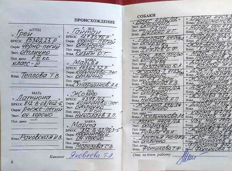 Файл:02 Legrej Bosov SB.jpg