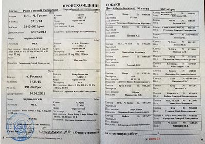 02 Riko s polej Sibirskih Permyakov IB.jpeg