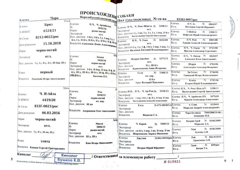 Файл:04 ros chara shihov as.jpg