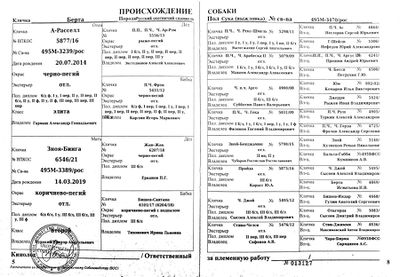 05 Berta Volevich KM.jpg