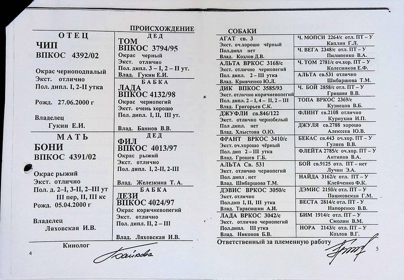 Файл:02 Den Gilimzyanov VA.jpg