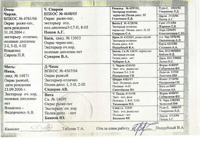02 ros marta 2 kozyrev gv.jpg