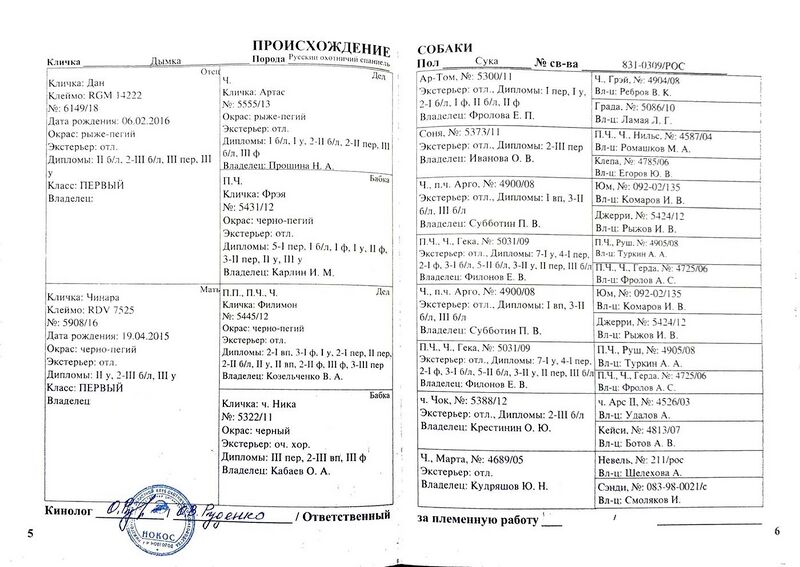 Файл:04 ros dymka kutejnikov iv.jpg