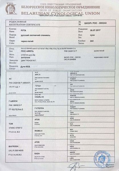 Файл:01 ros ruta duko mv.jpg