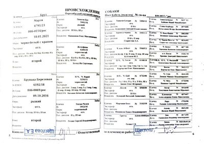 04 ros brut yudakov ma.jpg