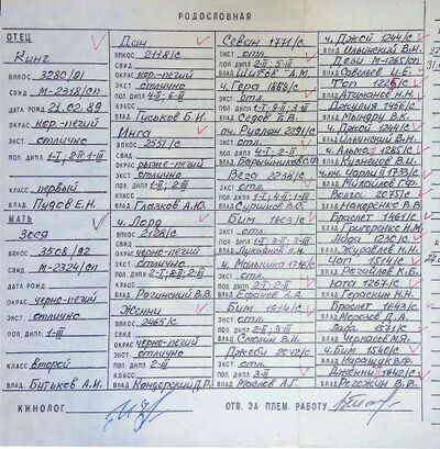 02 ros sherif zhulev pe.jpg