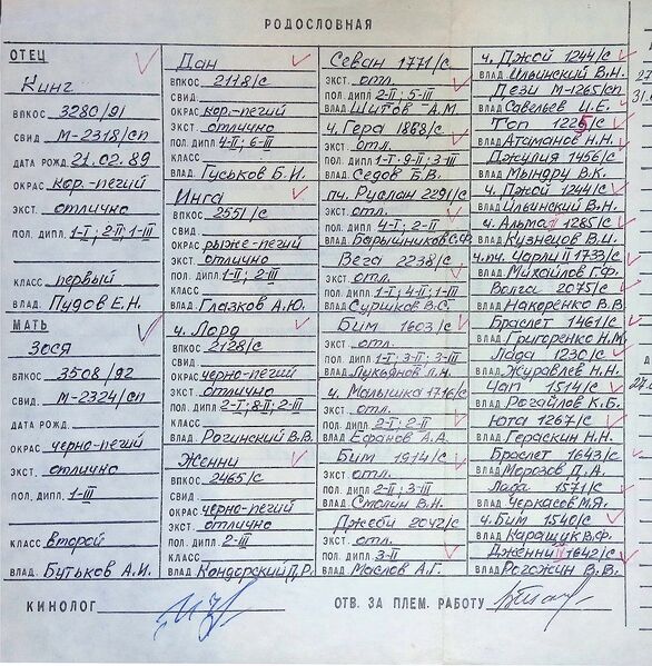 Файл:02 ros sherif zhulev pe.jpg