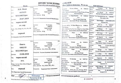 04 ROS Pyzh Suhanov AG.jpg
