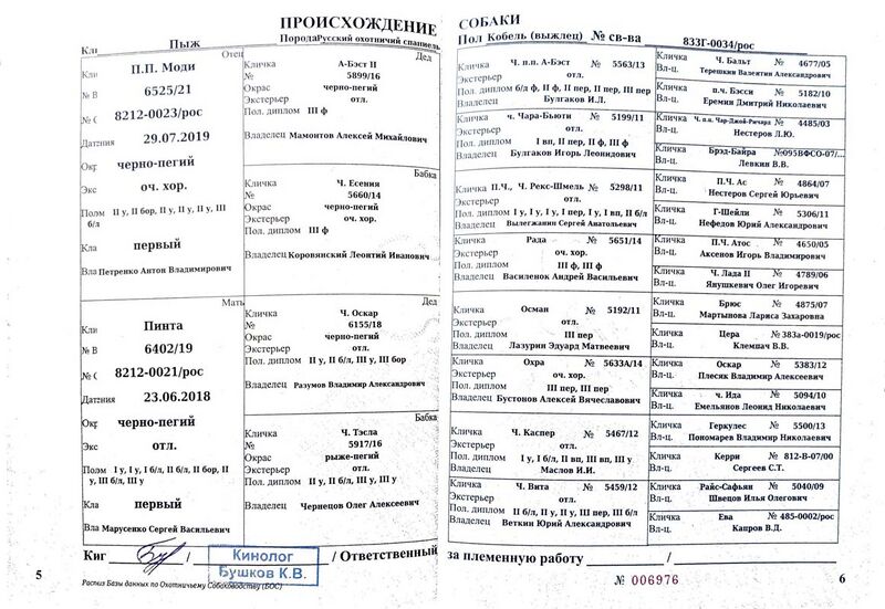 Файл:04 ROS Pyzh Suhanov AG.jpg