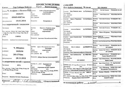 04 Dar Sibiri Nejson Naumchenkov DA.jpg