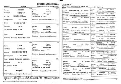 Kolesnikov V.V. Bonya 02.jpg