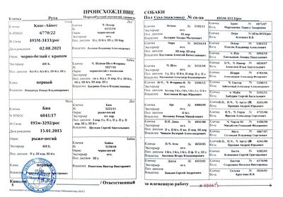 04 ros ruta arhipov dn.jpg