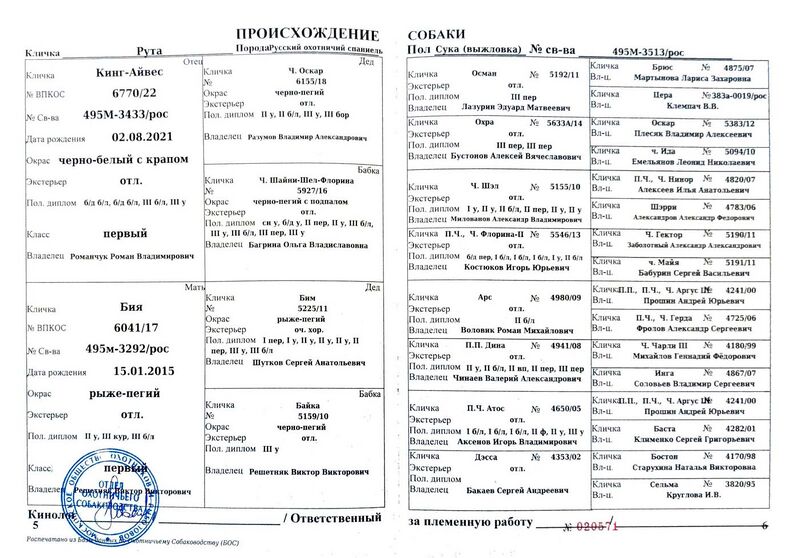 Файл:04 ros ruta arhipov dn.jpg