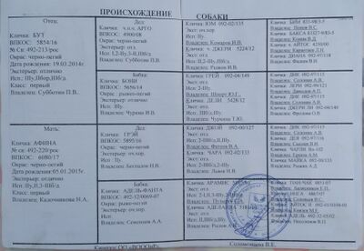 09 ros cezar roj shuklecov iv.jpg